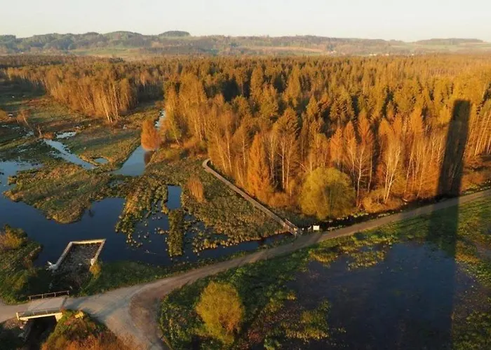 Daire Deppler Ostrach